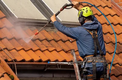 Démoussage et hydrofuge de toiture à Lavigney